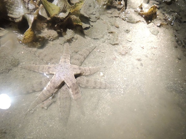 澎湖旅遊-夜間照海